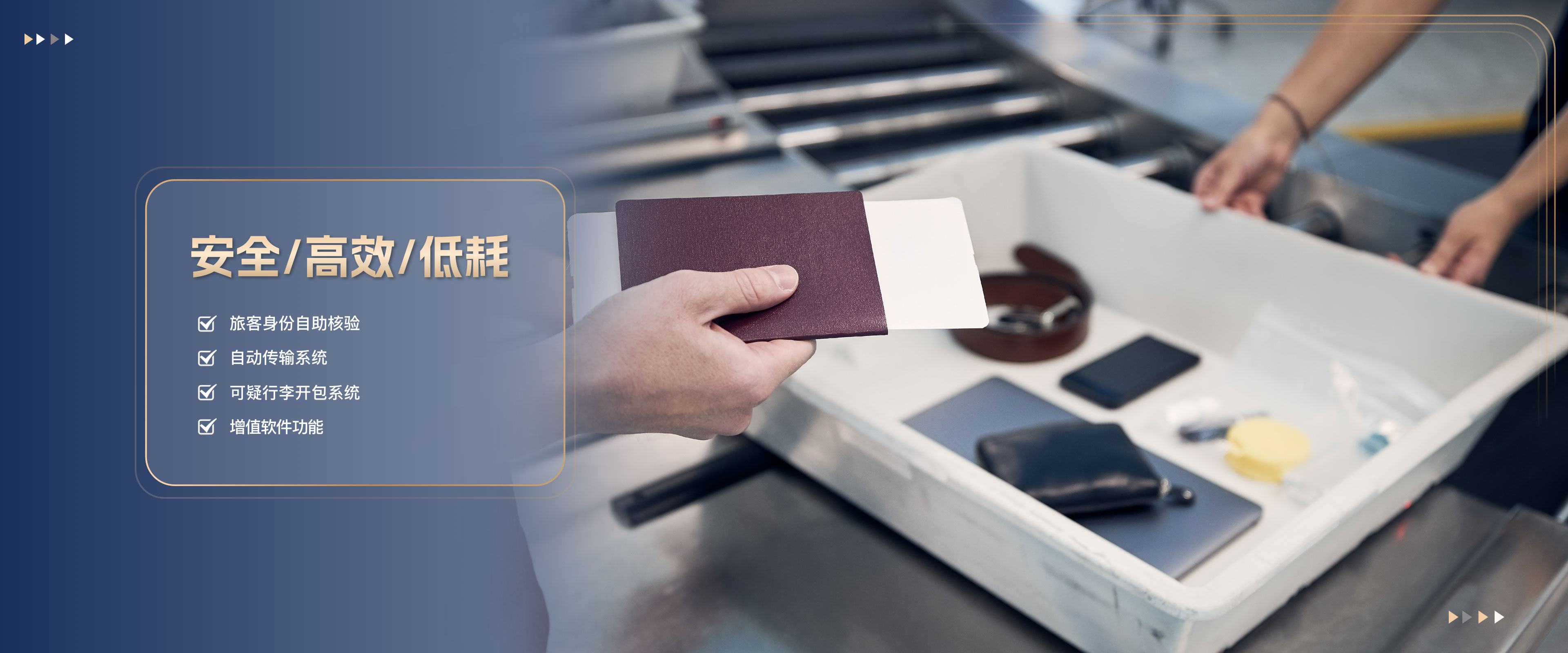 舜天龙兴